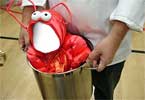 Baby Lobster